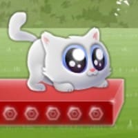 Extreme Kitten
