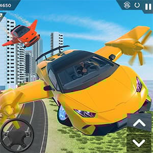 Flying Racecar