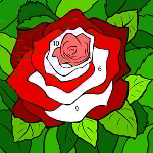 Happy Color