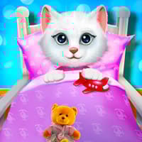 Kitty Bedtime Activities