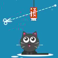 Milk For Cat