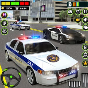 Police Chase