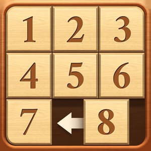 Puzzle Numbers