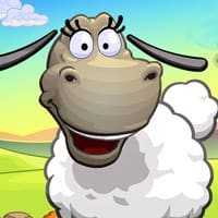 Sheep